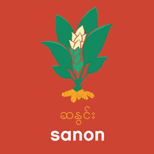 Friends of Sanon